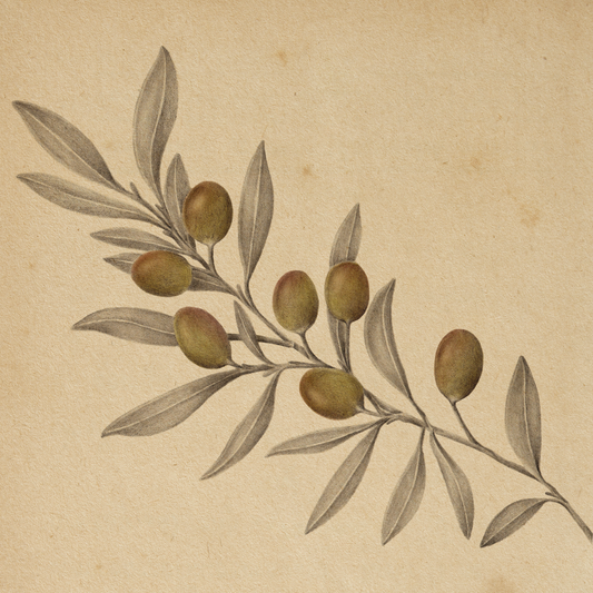 "Nostos" Sheet Music